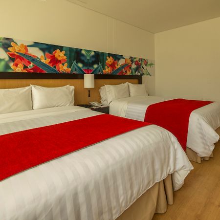 Mi Hotel Sandiego Medellín Eksteriør billede
